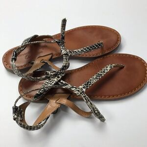 American Eagle Women’s  Snake Print Thong Sandals